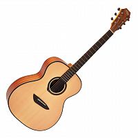 Акустическая гитара G110 NS